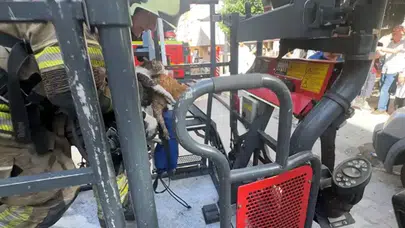 Avcılar'da çatı katında yangın : 10 kedi hayatını kaybetti