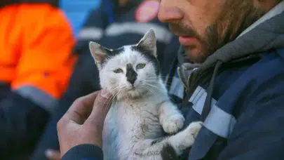 Karabük'te halı sahanın demirlerinde mahsur kalan kediyi itfaiye kurtardı