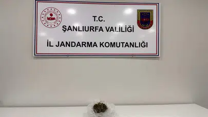 Şanlıurfa'da bir şahsın üzerinden 100 gram esrar ele geçirildi
