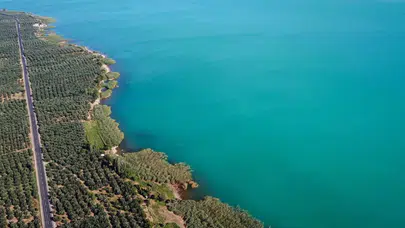 İznik Gölü'nün rengi değişti