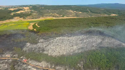 Tekirdağ Malkara'da orman yangını
