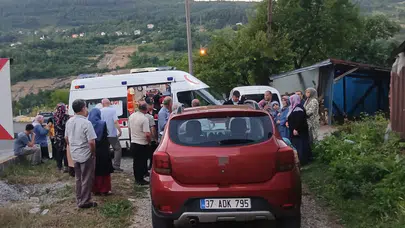 Kastamonu'da freni tutmayan hafif ticari araç anne ve iki çocuğa çarptı