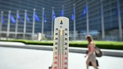 Belçika'da en şiddetli sıcak hava dalgası yaşanıyor : Ölüm oranı rekor seviyede