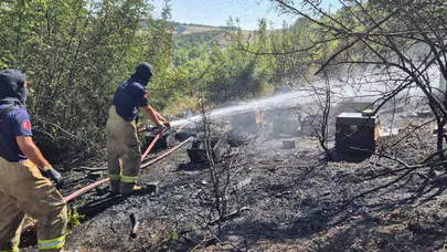Balıkesir'de çalılık yangını : 85 arı sandığı küle döndü