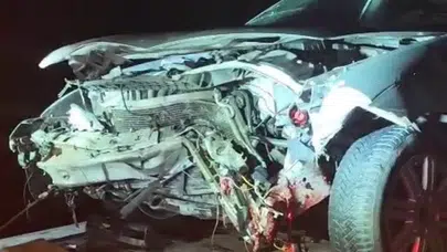 Erzurum'da otomobil domuz sürüsüne çarptı : 9 yaban domuzu telef oldu