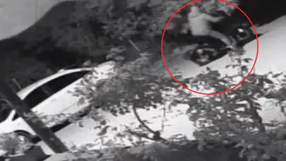 Bursa'da park halindeki otomobili maskeyle gelip kundakladı