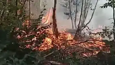 Bursa'da çıkan orman yangını, büyümeden söndürüldü