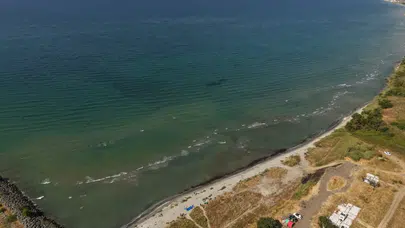 Tekirdağ'da sahil temizliği : 100 torba atık toplandı
