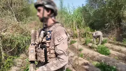 Diyarbakır'ın 5 ilçesinde yasa dışı kenevir operasyonu : 7 tutuklama