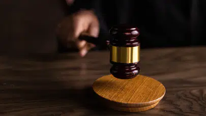 Bursa'da arsayı alınca dedesine bakmayı bıraktı : Yargıtay'dan tapu iptal kararı