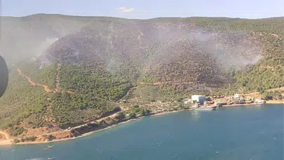 Gemlik'te alev kapanında kalan ekipler yangını 5 saatte kontrol altına aldı