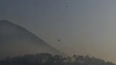 Muğla Fethiye'de orman yangını