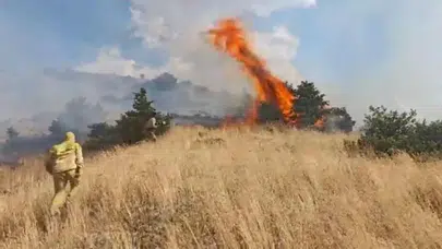 Bingöl'ün Genç ilçesinde ormanlık alanda yangın çıktı