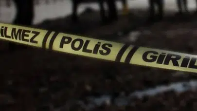 Samsun'da yaşlı adam kestiği ağacın altında kalıp hayatını kaybetti
