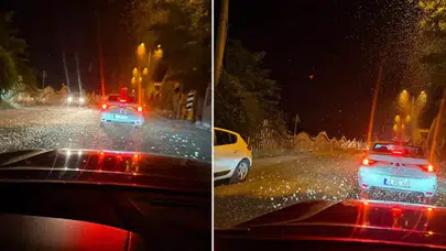 Sakarya’da milyonlarca kelebeğin ölüm dansı başladı