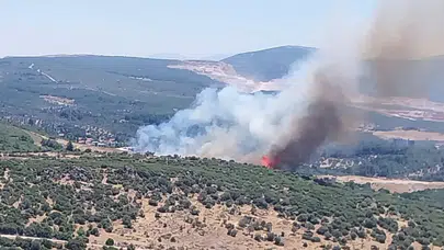 İzmir Bornova'da orman yangını