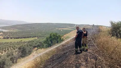 Hatay'da anız yangını itfaiye tarafından söndürüldü