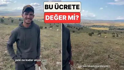 Çoban maaşları ne kadar? Aylık 100 bin lira kazanan genç çoban çalışma şartlarını ve gelirini anlattı