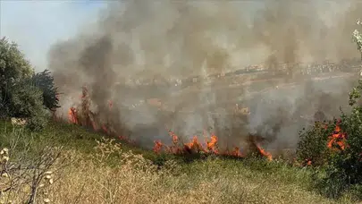 Adıyaman'da yangın : Alevler otluk alandan ormana sıçradı