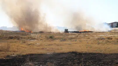 Eskişehir'de otluk alanda çıkan yangın söndürüldü