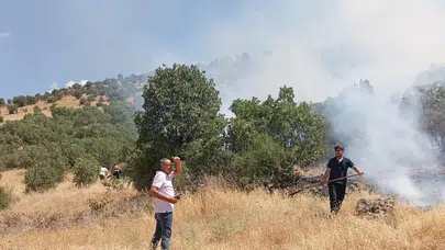 Mardin Ömerli'de ormanlık alanda yangın