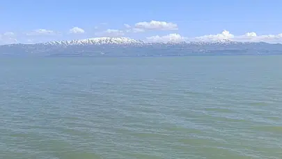 Muradiye Kaymakamlığı açıkladı : Van Gölü kıyıları ve iç sularda yüzmek yasaklandı
