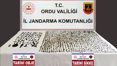 Ordu'da tarihi eser operasyonu : Bin 95 sikke ve 121 obje ele geçirildi