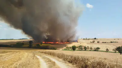 Kırklareli Babaeski'de buğday tarlasında yangın : 600 dönüm arazi zarar gördü