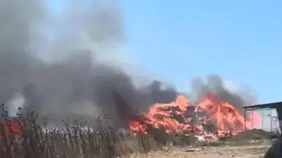 Çatalca'da otluk alanda yangın çıktı ! Alevler ağaçlık alana sıçradı