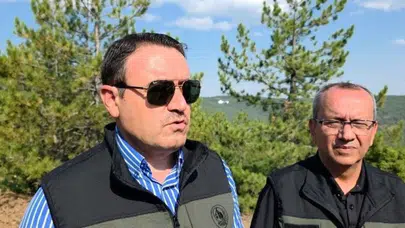 Kütahya'daki orman yangınında 70 dekarlık alan zarar gördü