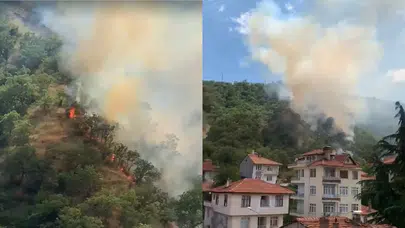 Kastamonu'da orman yangını : 40 dönümlük alan zarar gördü