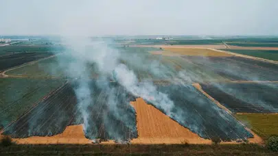 Çorum’da anız yangını yerleşim yerine sıçradı : 1 ev, 2 samanlık ve 2 ahır kül oldu