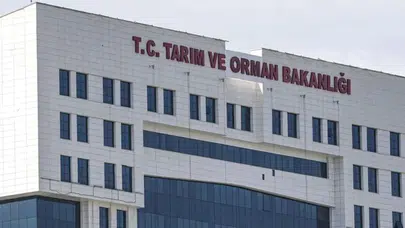 Tarım ve Orman Bakanlığı açıkladı : 11 yangın bölgesinde çalışmalar sürüyor