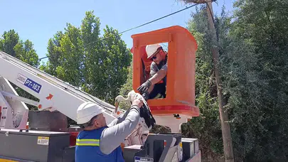 TEDAŞ ekipleri seferber oldu ! Yaralanan yavru leylek tedavi edildi