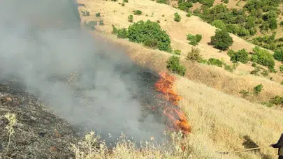 Malatya'da ormanlık alanda yangın çıktı