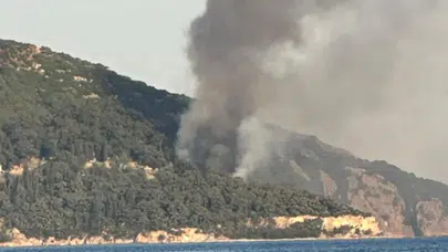 Büyükada'daki Viranbağ Plajı’nda yangın çıktı