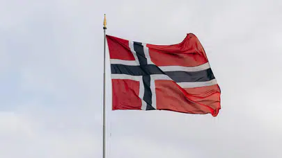 Norveç'te orman yangınları : 80 hektarlık alan alev alev