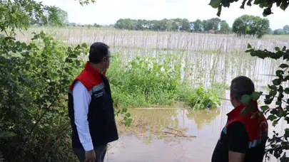 Samsun'da sağanak yağış tarım arazilerini vurdu