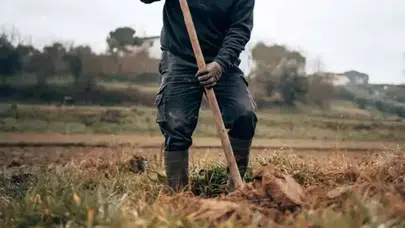Çiftçiler iç çamaşırlarını neden toprağa gömüyor? Asıl nedeni bakın ne çıktı