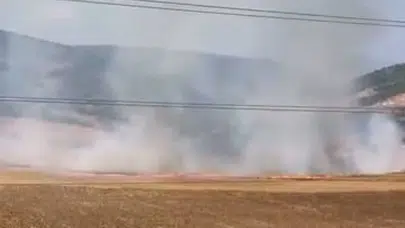 Bursa'da tarlalık alanı ateşe veren 16 yaşındaki şüpheli yakalandı
