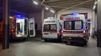 Siirt'te akılalmaz olay : Kümese tavuklarını kontrol etmeye girdi, yılan tarafından ısırıldı