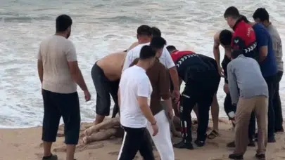 Karaburun'da kıyıda otururken dalganın denize sürüklediği adam hayatını kaybetti