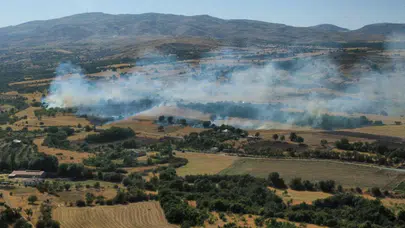 Elazığ'da bahçe ve anız yangını : Ekiplerin çalışmaları devam ediyor