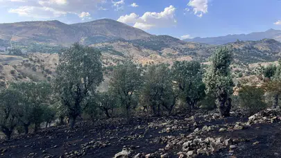 Siirt’te bir günde 5 yangın : Bir bölgede söndürme çalışmaları sürüyor