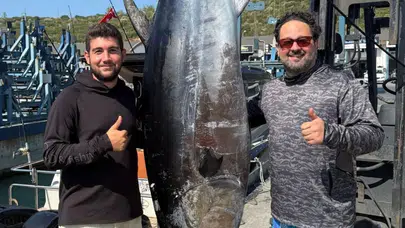 İzmir Sığacık açıklarında 260 kilogramlık orkinos yakalandı