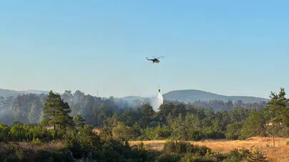 Çanakkale Bayramiç'teki orman yangını kontrol altına alındı