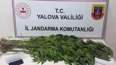 Yalova'da uyuşturucu operasyonu : 3 şüpheli gözaltına alındı