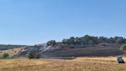 Bilecik'te arazi yangını : Havadan ve karadan müdahaleyle söndürüldü