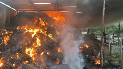 Muğla Ula'da ahır yangını : 4 büyükbaş hayvan telef oldu