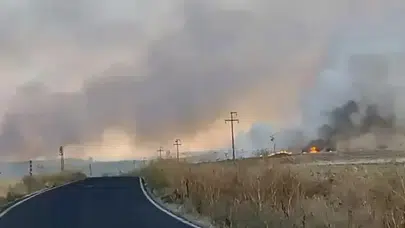 Ankara Polatlı'da yangın çıkaran şüpheli suçüstü yakalandı : 250 dönüm alan yandı